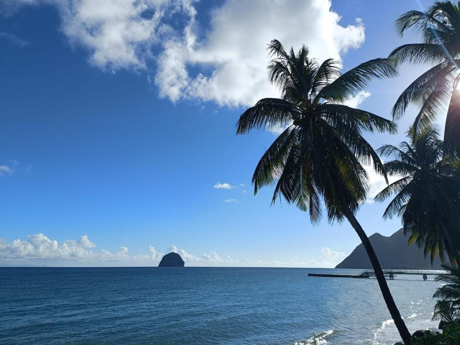 Le Madja'Kaz - Studio En Residence Et Bord De Mer - Sainte Luce Martinique ภายนอก รูปภาพ